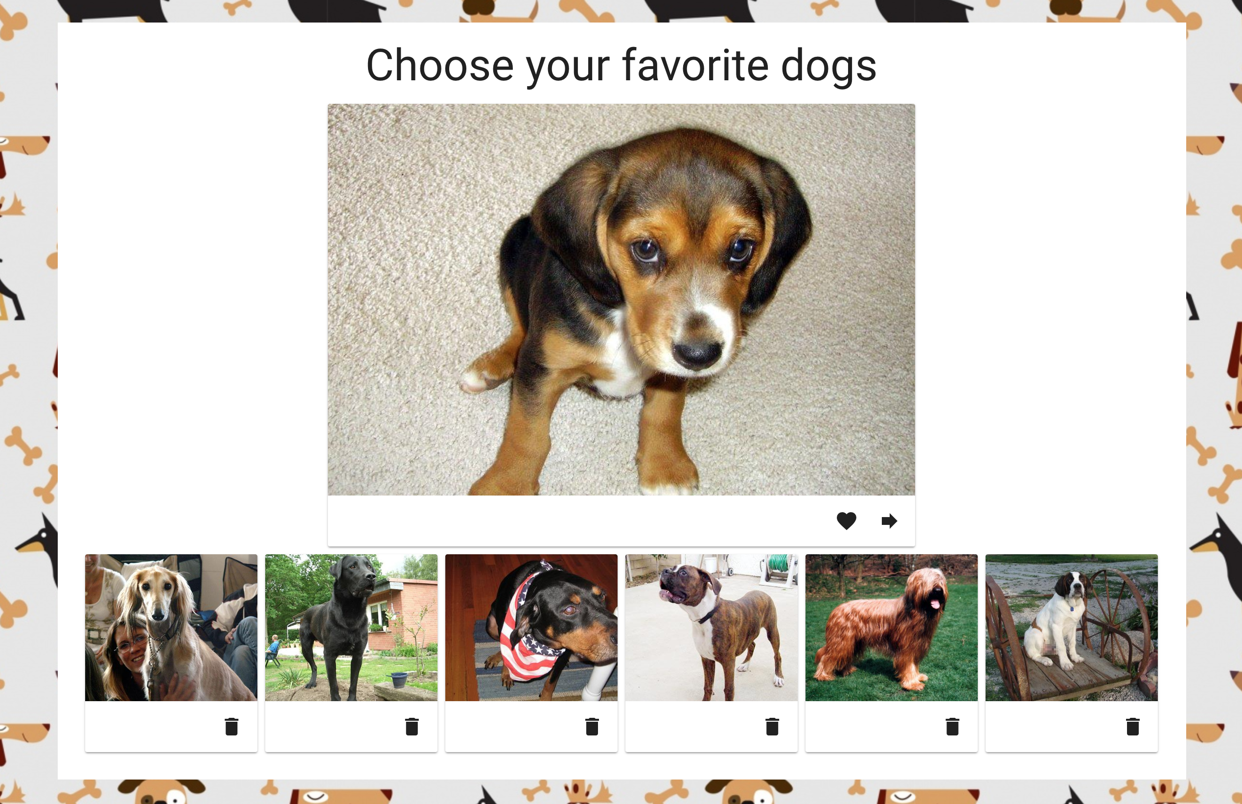 random dog app